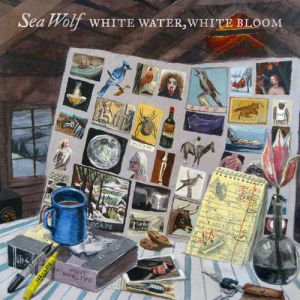 Album White Water, White Bloom - Sea Wolf