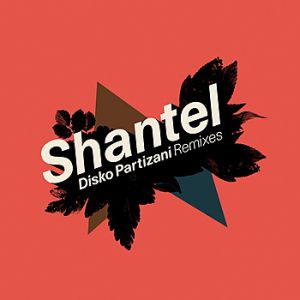 Album Shantel - Disko Partizani Remixes