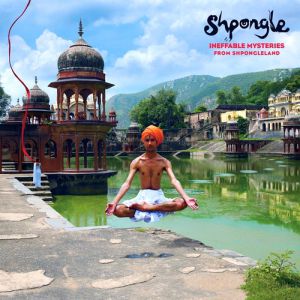 Album Ineffable Mysteries from Shpongleland - Shpongle