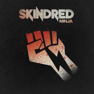 Skindred Ninja, 2013