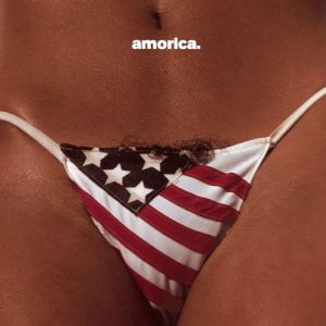 The Black Crowes : Amorica