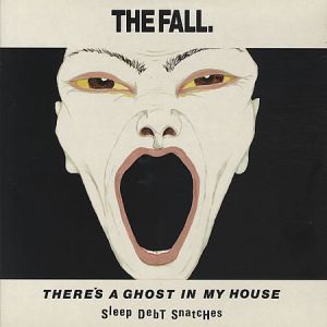The Fall : There's a Ghost in My House
