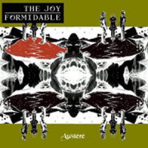 Album The Joy Formidable - Austere
