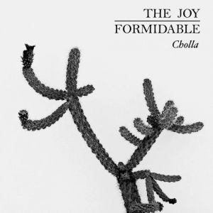 Album The Joy Formidable - Cholla