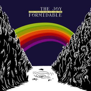 The Joy Formidable I Don't Want to See You Like This, 2010