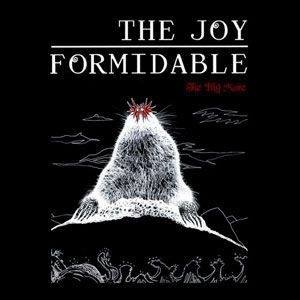Album The Joy Formidable - The Big More