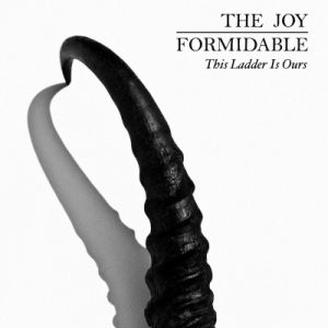 Album The Joy Formidable - This Ladder Is Ours