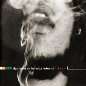 Album Spirit of Music - Ziggy Marley
