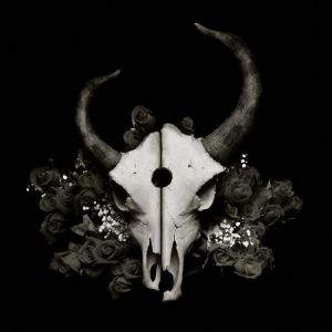 Album Demon Hunter - Summer of Darkness