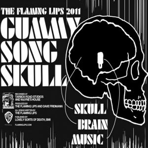 Flaming Lips : The Flaming Lips 2011 #3: Gummy Song Skull