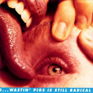 Flaming Lips : Yeah, I Know It's a Drag... But Wastin Pigs Is Still Radical