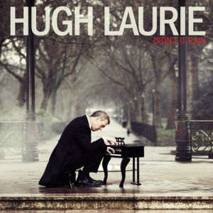 Album Didn't It Rain - Hugh Laurie