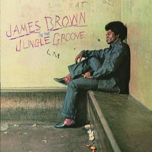 In the Jungle Groove - James Brown