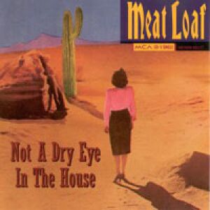 Meat Loaf Not a Dry Eye in the House, 1995