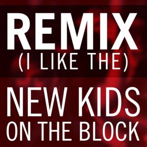 New Kids on the Block Remix (I Like The), 2013