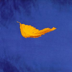 Album New Order - True Faith