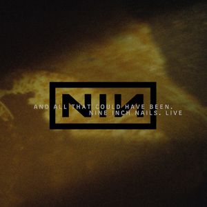 Album Nine Inch Nails - And All That Could Have Been
