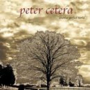 Album Peter Cetera - Another Perfect World