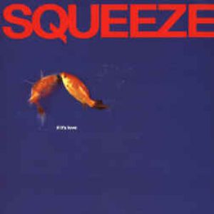 Squeeze : If It's Love
