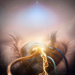 Eye of Providence - The Agonist