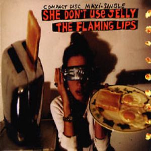 Flaming Lips She Don't Use Jelly, 1993