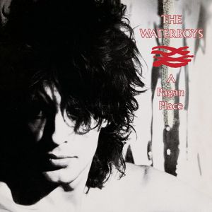 Album The Waterboys - A Pagan Place