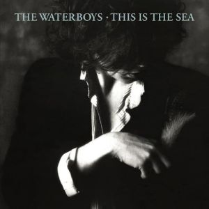 The Waterboys This Is the Sea, 1985