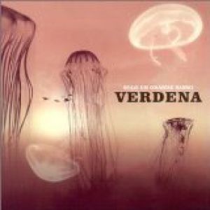 Album Verdena - Solo un Grande Sasso