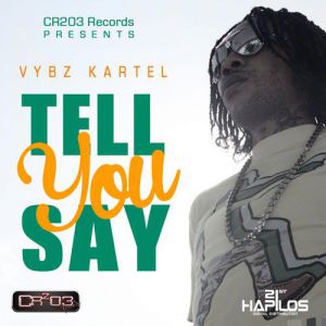 Album Vybz Kartel - Tell You Say