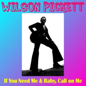 Wilson Pickett : If You Need Me