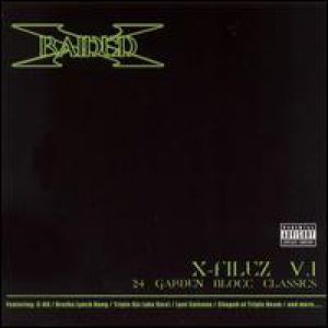 Album X-Raided - The X-Filez, Vol. 1