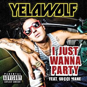 I Just Wanna Party - album