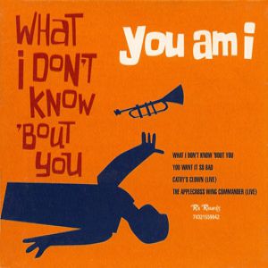 You Am I What I Don't Know 'bout You, 1998