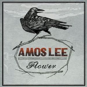 Amos Lee : Flower