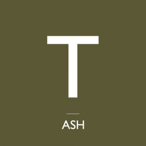 Album Ash - Instinct