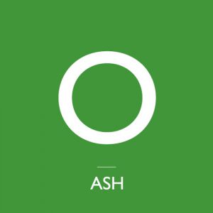 Album Ash - Mind Control