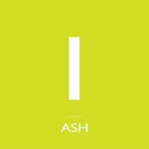 Album Neon - Ash