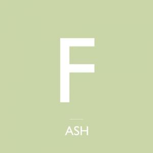 Album Ash - Pripyat