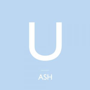 Album Ash - Summer Snow