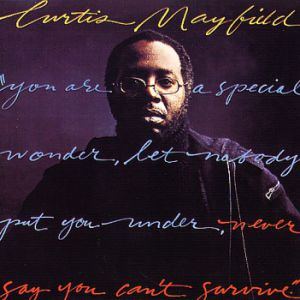 Never Say You Can't Survive - Curtis Mayfield