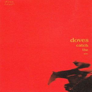 Album Doves - Catch the Sun