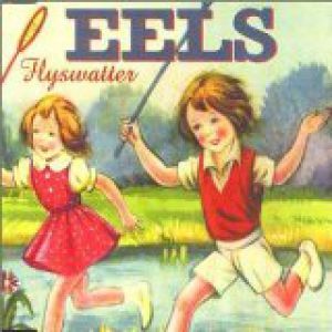 Eels Flyswatter, 2000