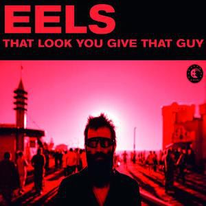 That Look You Give That Guy - Eels