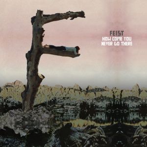 Album Feist - How Come You Never Go There