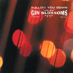 Gin Blossoms Follow You Down, 1996