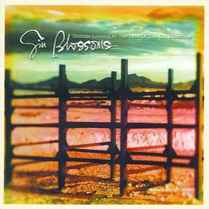 Album Gin Blossoms - Outside Looking In: The Best of the Gin Blossoms