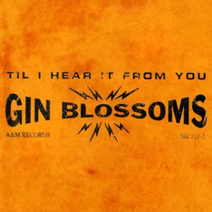 Gin Blossoms : Til I Hear It from You