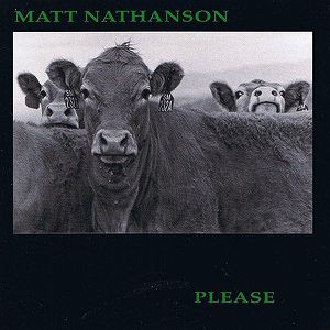 Album Matt Nathanson - Please