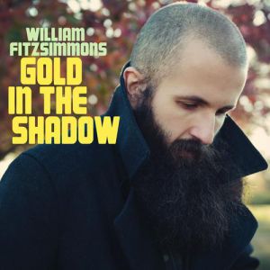 Album William Fitzsimmons - Gold in the Shadow (Deluxe)
