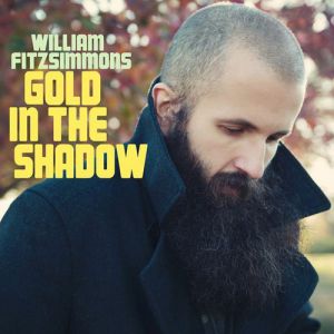 Album William Fitzsimmons - Gold in the Shadow